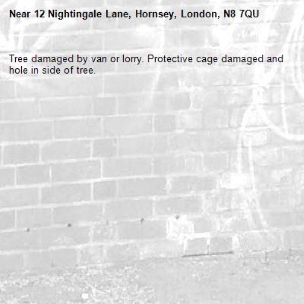 Tree damaged by van or lorry. Protective cage damaged and hole in side of tree.-12 Nightingale Lane, Hornsey, London, N8 7QU