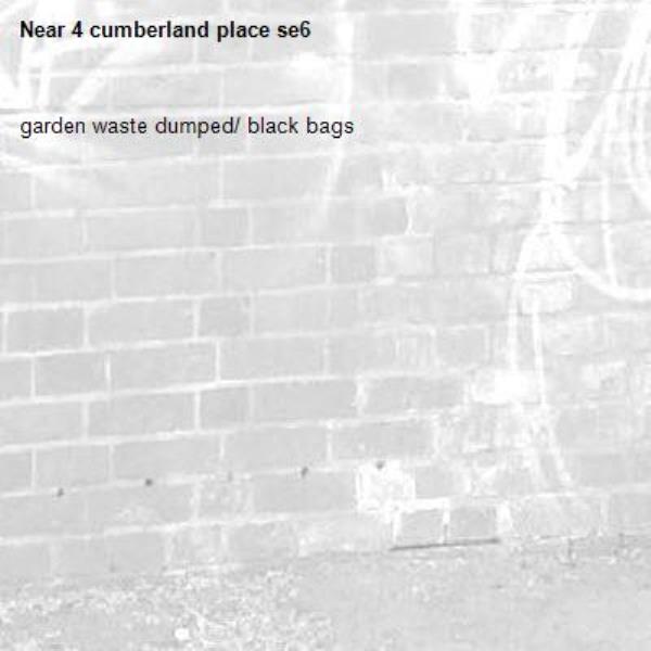 garden waste dumped/ black bags 
-4 cumberland place se6