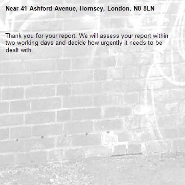 Thank you for your report. We will assess your report within two working days and decide how urgently it needs to be dealt with.-41 Ashford Avenue, Hornsey, London, N8 8LN