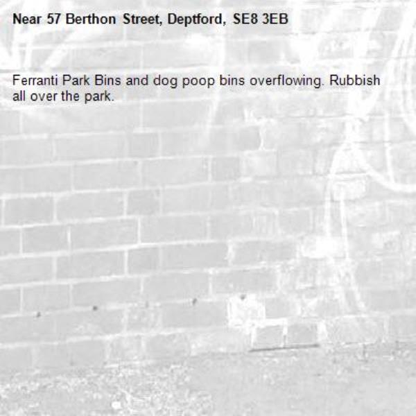 Ferranti Park Bins and dog poop bins overflowing. Rubbish all over the park. -57 Berthon Street, Deptford, SE8 3EB