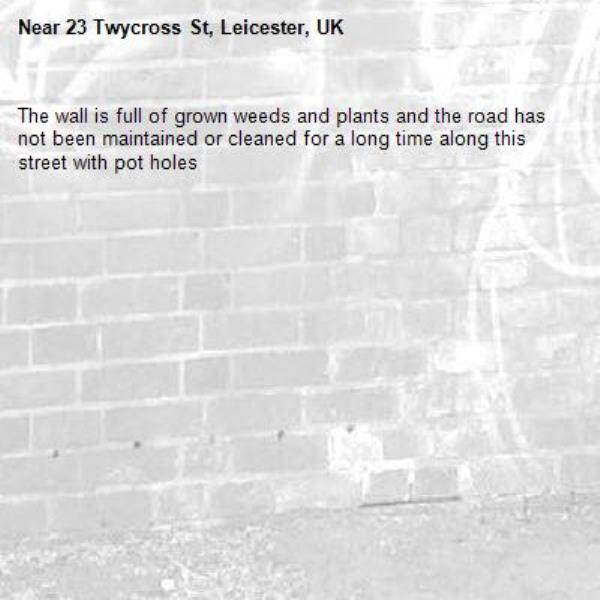 The wall is full of grown weeds and plants and the road has not been maintained or cleaned for a long time along this street with pot holes -23 Twycross St, Leicester, UK