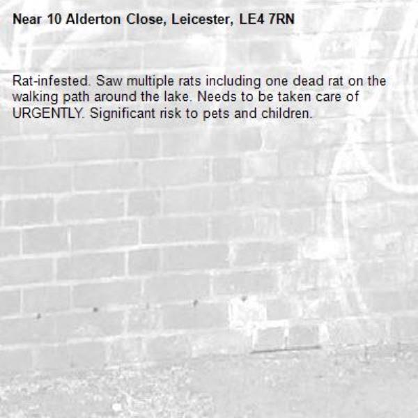Rat-infested. Saw multiple rats including one dead rat on the walking path around the lake. Needs to be taken care of URGENTLY. Significant risk to pets and children. -10 Alderton Close, Leicester, LE4 7RN