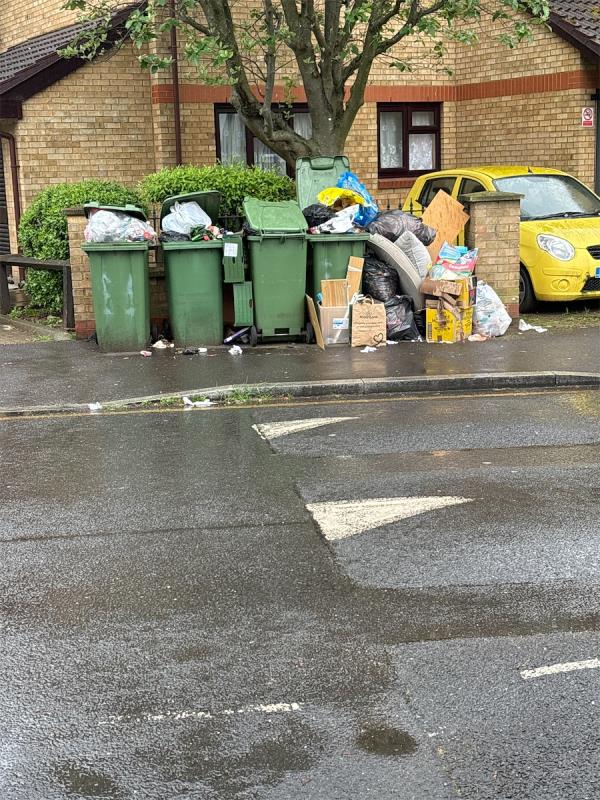 litter-63 Fords Park Road, Canning Town, London, E16 1NP