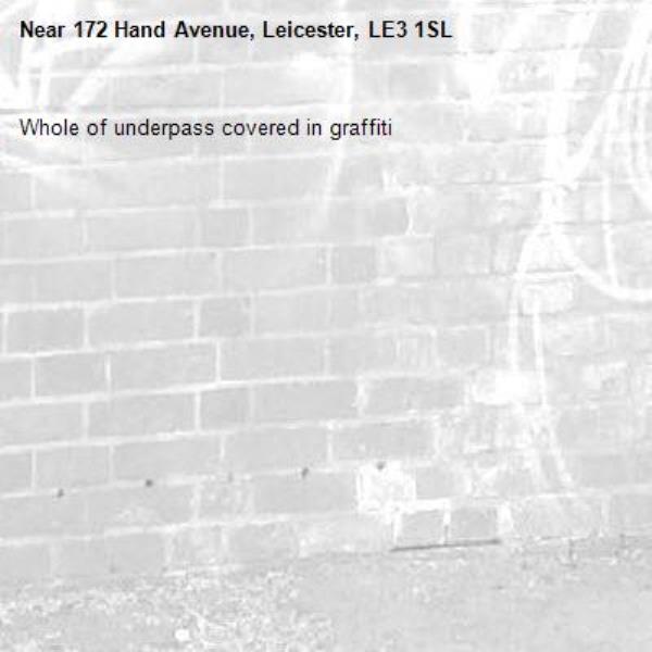 Whole of underpass covered in graffiti -172 Hand Avenue, Leicester, LE3 1SL
