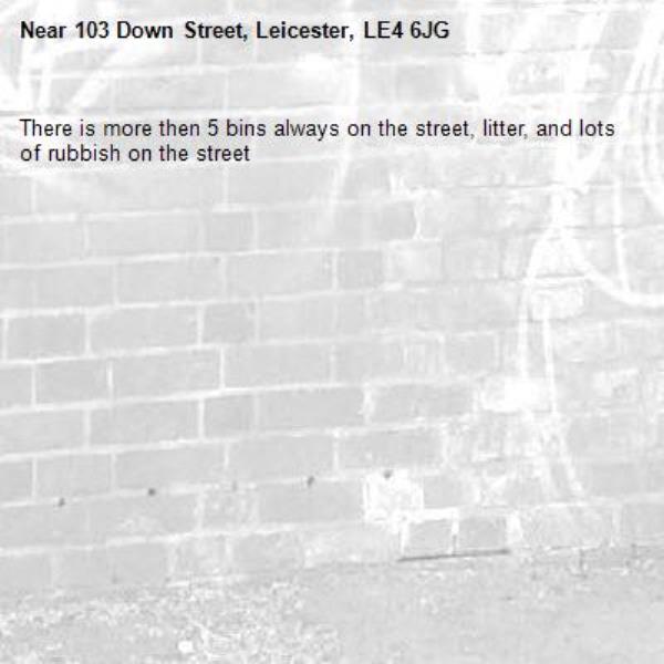 There is more then 5 bins always on the street, litter, and lots of rubbish on the street -103 Down Street, Leicester, LE4 6JG