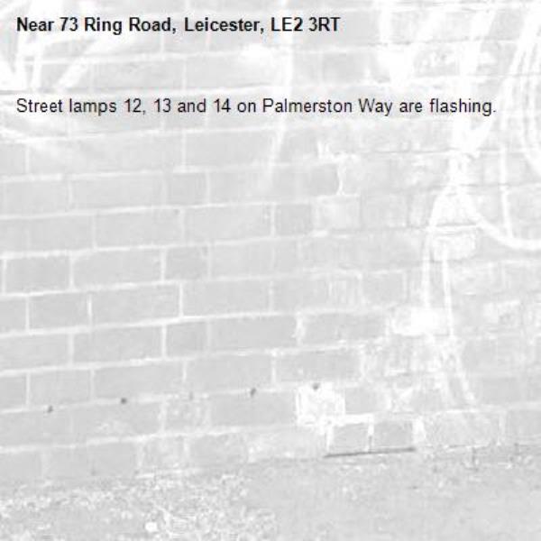 Street lamps 12, 13 and 14 on Palmerston Way are flashing. -73 Ring Road, Leicester, LE2 3RT