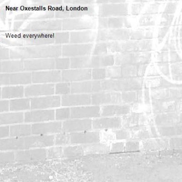 Weed everywhere!-Oxestalls Road, London