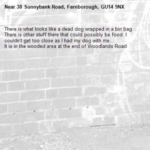 There is what looks like a dead dog wrapped in a bin bag  . There is other stuff there that could possibly be food. I couldn’t get too close as I had my dog with me. 
It is in the wooded area at the end of Woodlands Road -38 Sunnybank Road, Farnborough, GU14 9NX