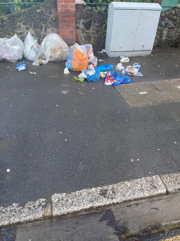 corner of Norwich and earlham.....Fly tipping - Fly-tipping Removal-Flat 1, 113 Earlham Grove, Forest Gate, London, E7 9AP