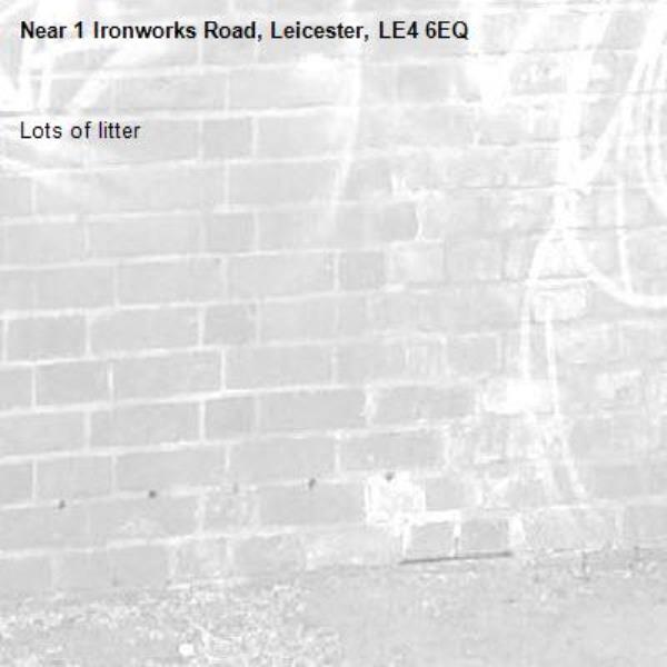 Lots of litter-1 Ironworks Road, Leicester, LE4 6EQ