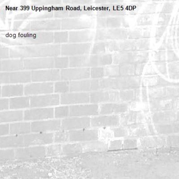 dog fouling-399 Uppingham Road, Leicester, LE5 4DP