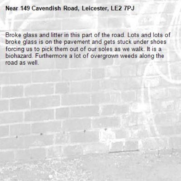 Broke glass and litter in this part of the road. Lots and lots of broke glass is on the pavement and gets stuck under shoes forcing us to pick them out of our soles as we walk. It is a biohazard. Furthermore a lot of overgrown weeds along the road as well.-149 Cavendish Road, Leicester, LE2 7PJ