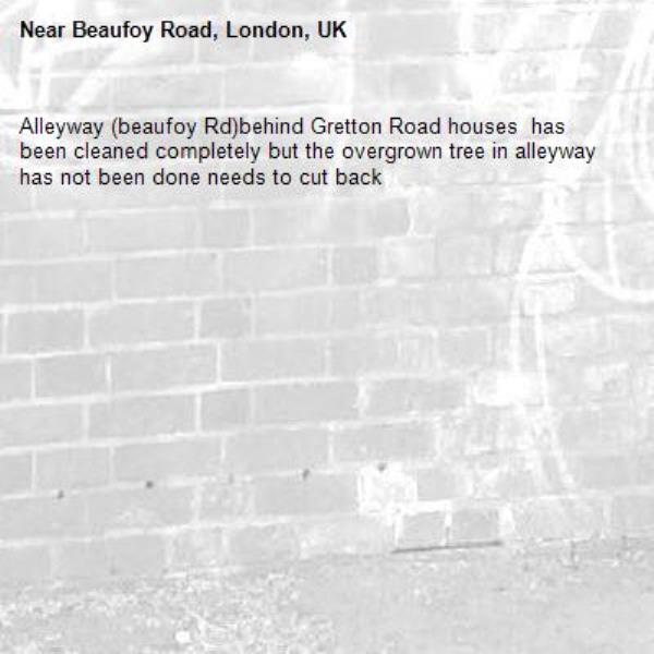 Alleyway (beaufoy Rd)behind Gretton Road houses  has been cleaned completely but the overgrown tree in alleyway has not been done needs to cut back-Beaufoy Road, London, UK