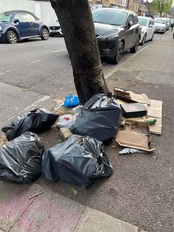 Bags and food rubbish -98 Derby Road, Forest Gate, London, E7 8NJ