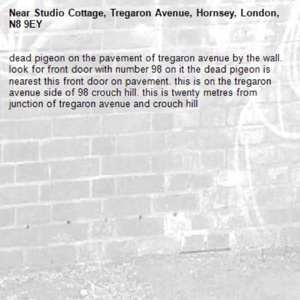 dead pigeon on the pavement of tregaron avenue by the wall. look for front door with number 98 on it the dead pigeon is nearest this front door on pavement. this is on the tregaron avenue side of 98 crouch hill. this is twenty metres from junction of tregaron avenue and crouch hill-Studio Cottage, Tregaron Avenue, Hornsey, London, N8 9EY