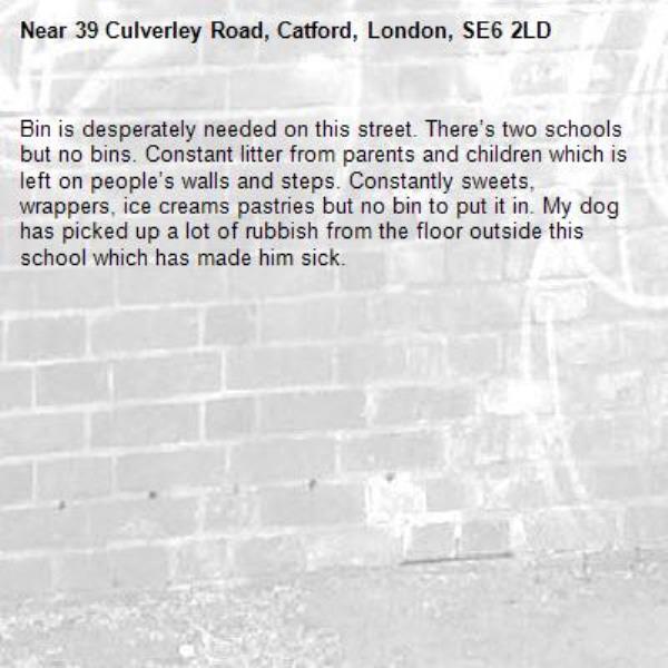Bin is desperately needed on this street. There’s two schools but no bins. Constant litter from parents and children which is left on people’s walls and steps. Constantly sweets, wrappers, ice creams pastries but no bin to put it in. My dog has picked up a lot of rubbish from the floor outside this school which has made him sick. -39 Culverley Road, Catford, London, SE6 2LD