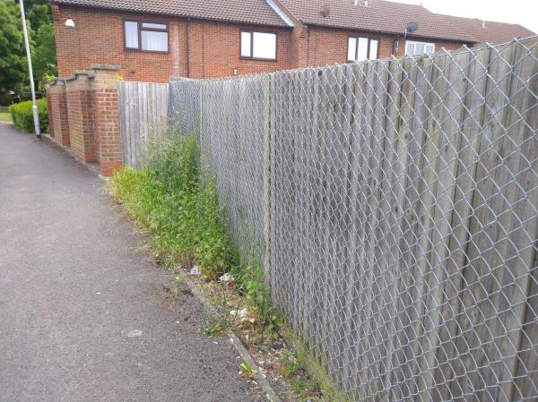 Grass verge outside Whitley Wood Community Centre getting overgrown with weeds - as it's outside of the Centre's boundary fence, I assume it's Highways land?-1 Copenhagen Close, Reading, RG2 8UH