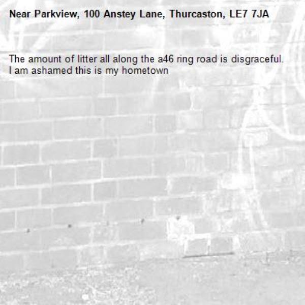 The amount of litter all along the a46 ring road is disgraceful. I am ashamed this is my hometown -Parkview, 100 Anstey Lane, Thurcaston, LE7 7JA
