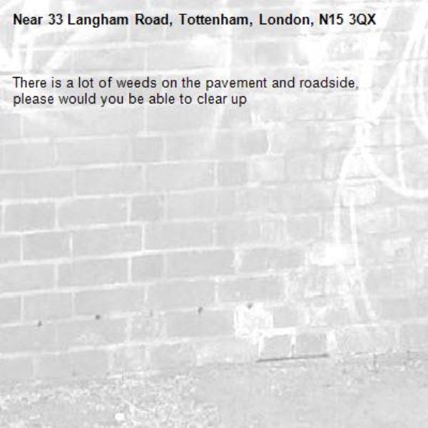 There is a lot of weeds on the pavement and roadside, please would you be able to clear up -33 Langham Road, Tottenham, London, N15 3QX