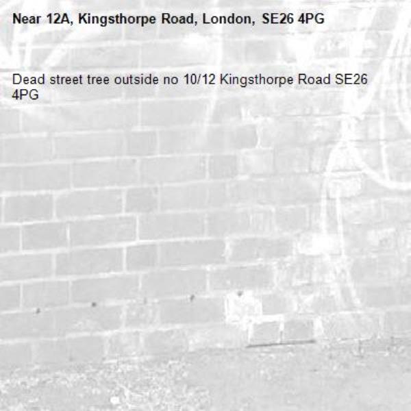 Dead street tree outside no 10/12 Kingsthorpe Road SE26 4PG-12A, Kingsthorpe Road, London, SE26 4PG