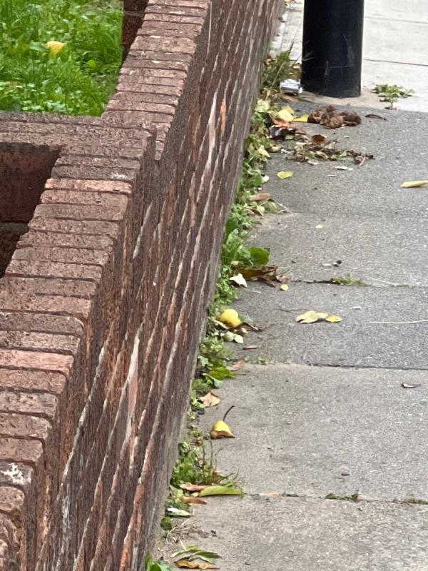 There is dog mess on the pavement and this happens very frequently. Can this be cleared as soon as possible please?

Thank you. 
-44 Courthill Rd, London SE13 6HB, UK