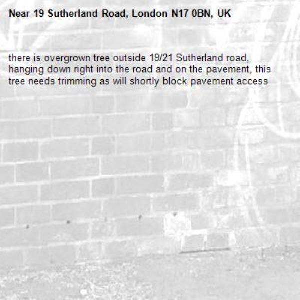 there is overgrown tree outside 19/21 Sutherland road, hanging down right into the road and on the pavement, this tree needs trimming as will shortly block pavement access-19 Sutherland Road, London N17 0BN, UK