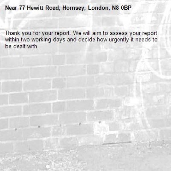 Thank you for your report. We will aim to assess your report within two working days and decide how urgently it needs to be dealt with.-77 Hewitt Road, Hornsey, London, N8 0BP