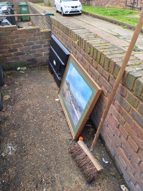 Argyll court bin area, large TV and two large framed prints-Faygate Road Service Road, Eastbourne