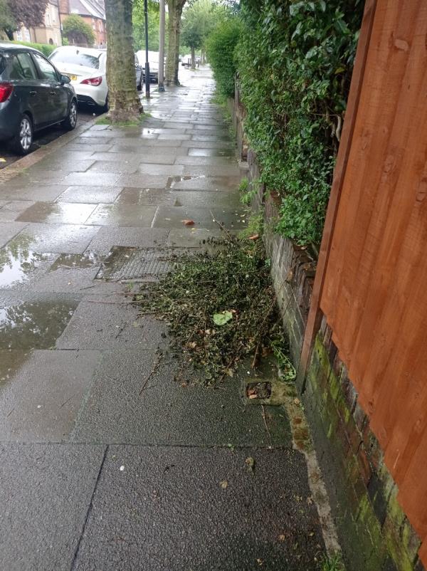 Dumped hedge cuttings -4 Risley Avenue, Tottenham, London, N17 7EU
