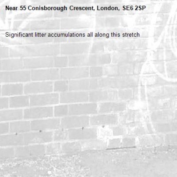 Significant litter accumulations all along this stretch-55 Conisborough Crescent, London, SE6 2SP