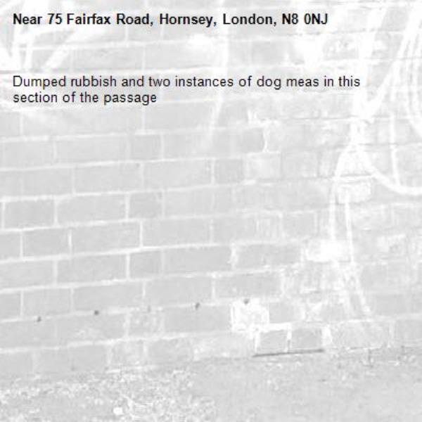 Dumped rubbish and two instances of dog meas in this section of the passage -75 Fairfax Road, Hornsey, London, N8 0NJ