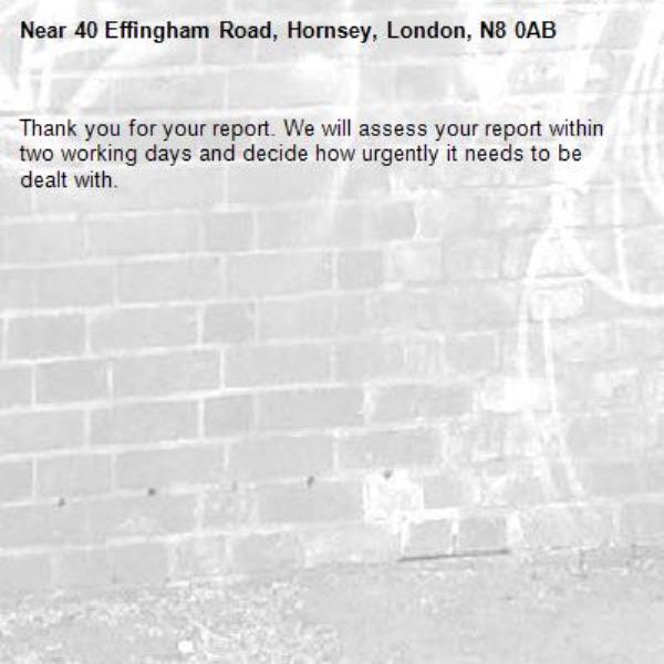 Thank you for your report. We will assess your report within two working days and decide how urgently it needs to be dealt with.-40 Effingham Road, Hornsey, London, N8 0AB