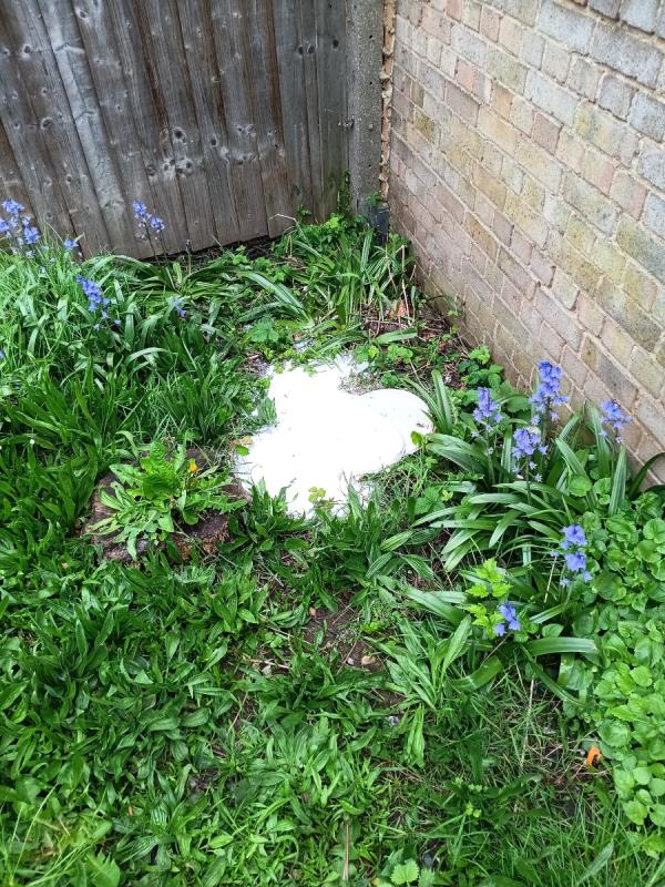 Paint dumped in grassy area in Barnard Grove-26 Devenay Road, Stratford, London, E15 4AY