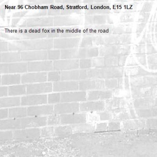 There is a dead fox in the middle of the road-96 Chobham Road, Stratford, London, E15 1LZ