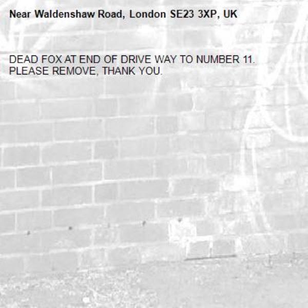 DEAD FOX AT END OF DRIVE WAY TO NUMBER 11. PLEASE REMOVE, THANK YOU.-Waldenshaw Road, London SE23 3XP, UK