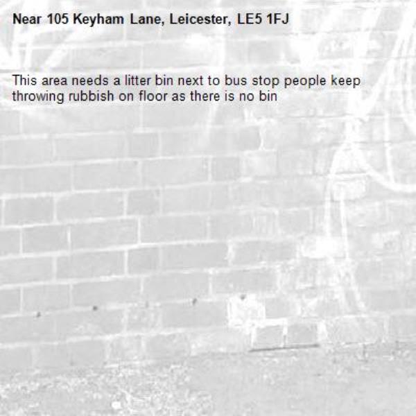 This area needs a litter bin next to bus stop people keep throwing rubbish on floor as there is no bin -105 Keyham Lane, Leicester, LE5 1FJ