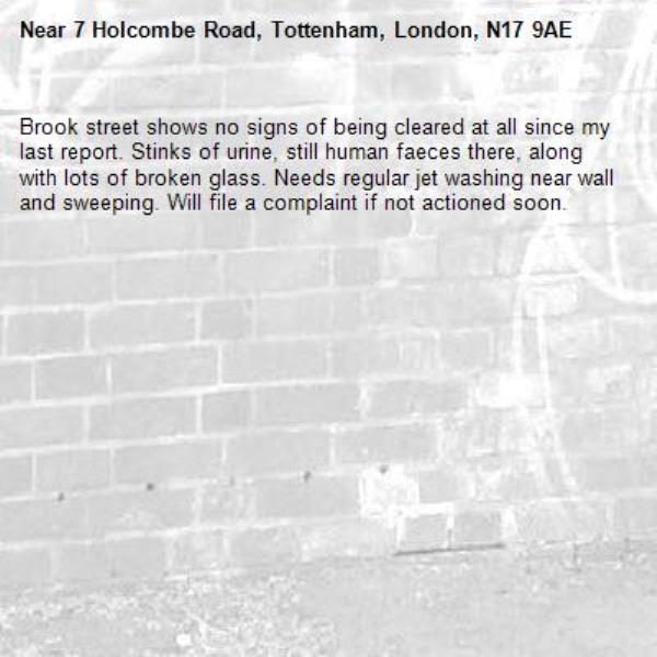 Brook street shows no signs of being cleared at all since my last report. Stinks of urine, still human faeces there, along with lots of broken glass. Needs regular jet washing near wall and sweeping. Will file a complaint if not actioned soon. -7 Holcombe Road, Tottenham, London, N17 9AE