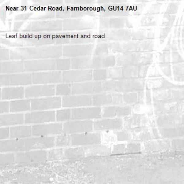 Leaf build up on pavement and road-31 Cedar Road, Farnborough, GU14 7AU