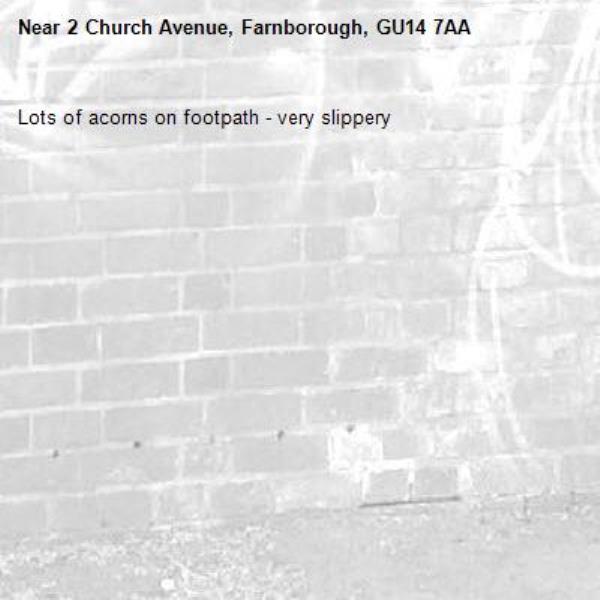 Lots of acorns on footpath - very slippery -2 Church Avenue, Farnborough, GU14 7AA