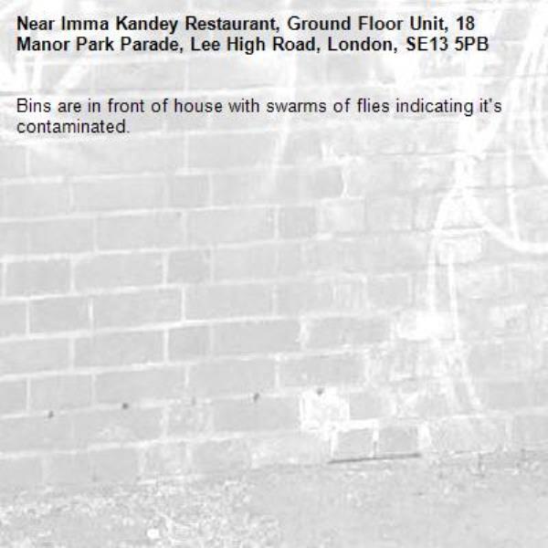 Bins are in front of house with swarms of flies indicating it's contaminated. -Imma Kandey Restaurant, Ground Floor Unit, 18 Manor Park Parade, Lee High Road, London, SE13 5PB