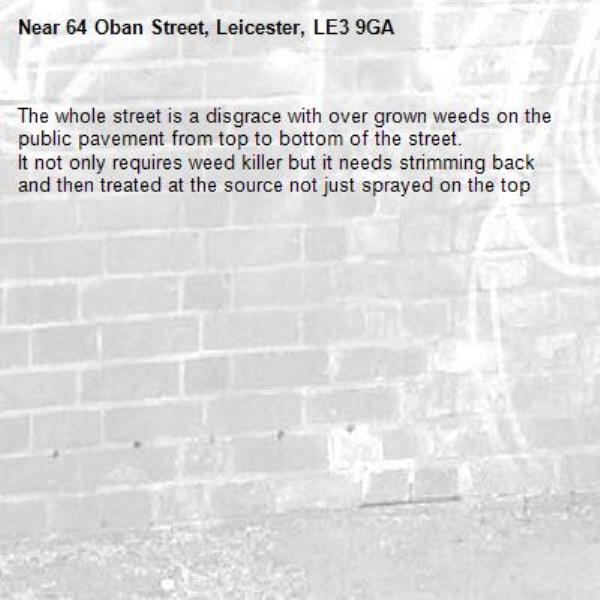 The whole street is a disgrace with over grown weeds on the public pavement from top to bottom of the street.
It not only requires weed killer but it needs strimming back and then treated at the source not just sprayed on the top-64 Oban Street, Leicester, LE3 9GA