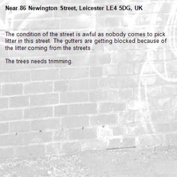 The condition of the street is awful as nobody comes to pick litter in this street. The gutters are getting blocked because of the litter coming from the streets .

The trees needs trimming.-86 Newington Street, Leicester LE4 5DG, UK