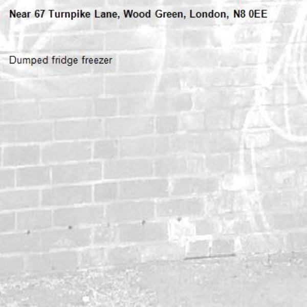 Dumped fridge freezer -67 Turnpike Lane, Wood Green, London, N8 0EE