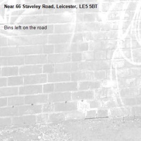 Bins left on the road-66 Staveley Road, Leicester, LE5 5BT