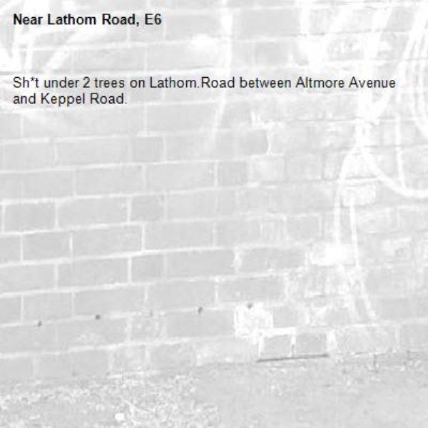 Sh*t under 2 trees on Lathom.Road between Altmore Avenue and Keppel Road.-Lathom Road, E6