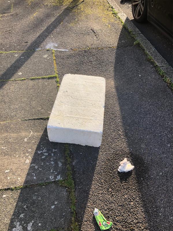 Please clear a polystene block-99 Daneby Road, Catford, London, SE6 2QF