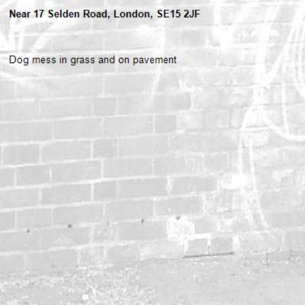 Dog mess in grass and on pavement -17 Selden Road, London, SE15 2JF