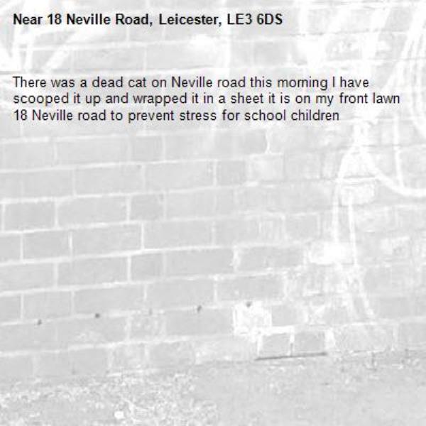 There was a dead cat on Neville road this morning I have scooped it up and wrapped it in a sheet it is on my front lawn 18 Neville road to prevent stress for school children -18 Neville Road, Leicester, LE3 6DS