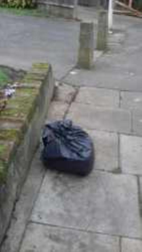 Please clear a black bag.-1 The Woodlands, London, SE13 6TX