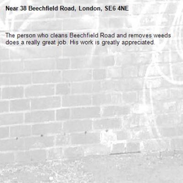 The person who cleans Beechfield Road and removes weeds does a really great job. His work is greatly appreciated. -38 Beechfield Road, London, SE6 4NE